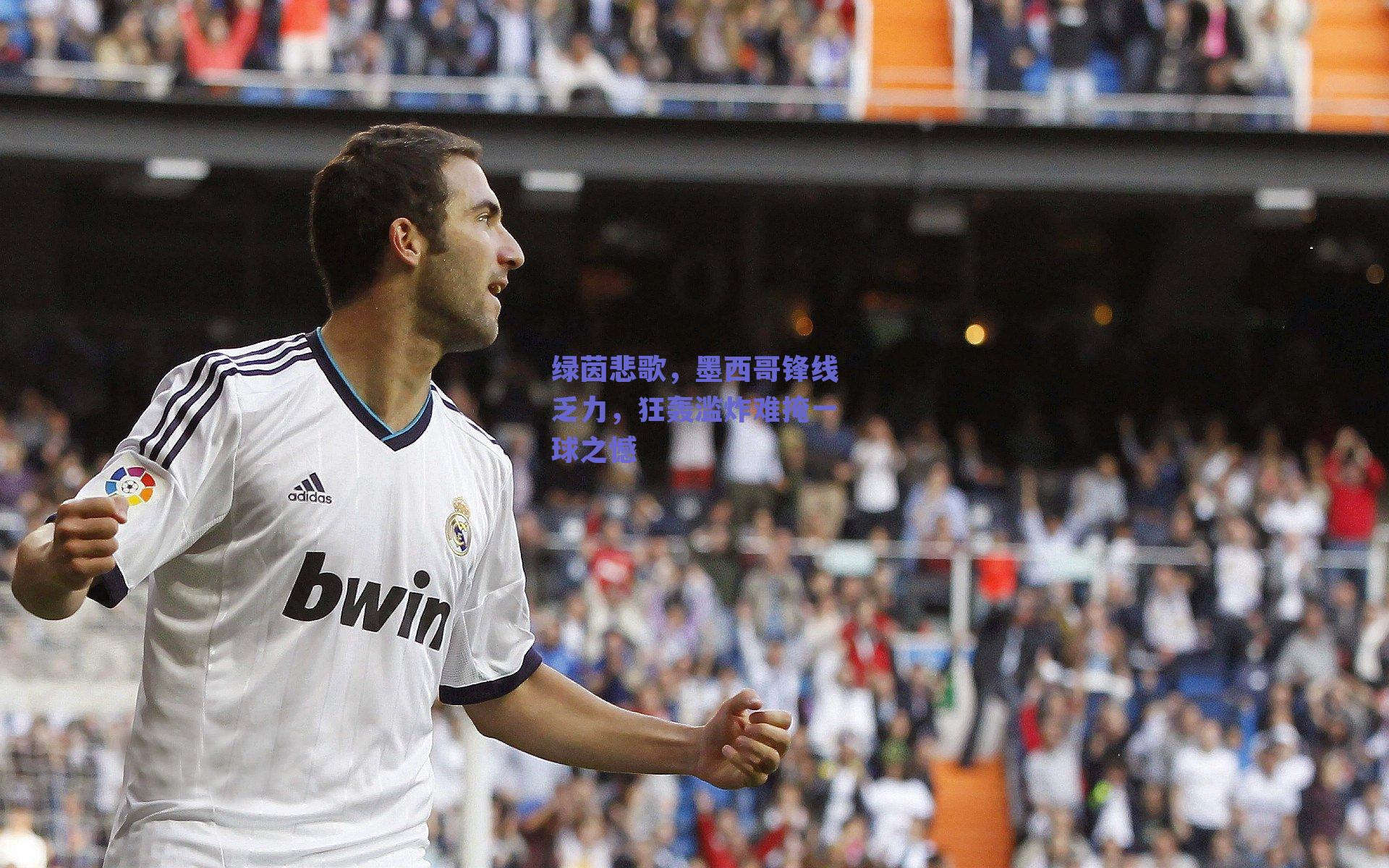 ng体育官网-绿茵悲歌，墨西哥锋线乏力，狂轰滥炸难掩一球之憾